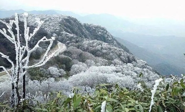Đài PTTH Hà Nội
